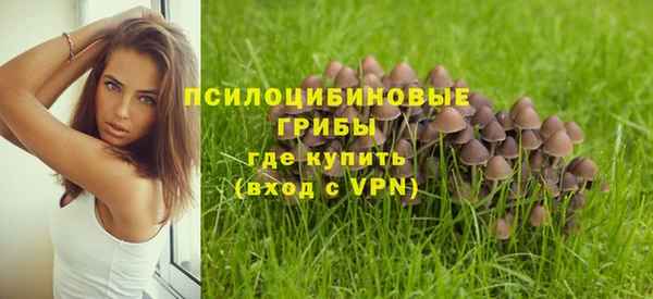 спайс Белая Холуница